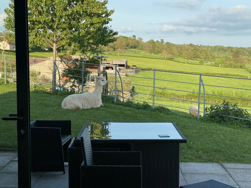 Castle farm campsite
