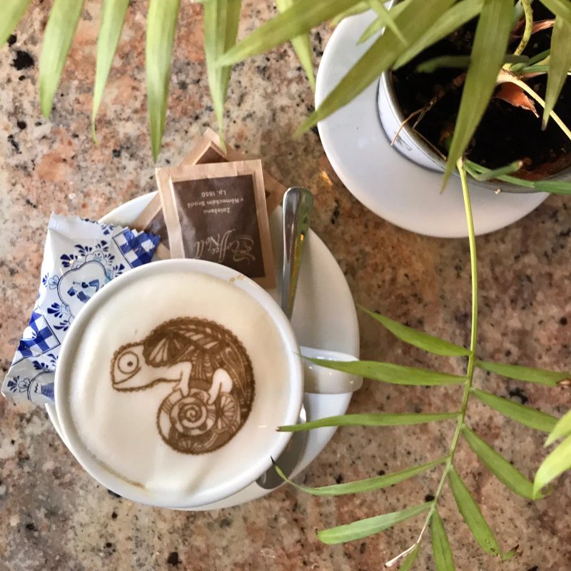 Coffee Noll