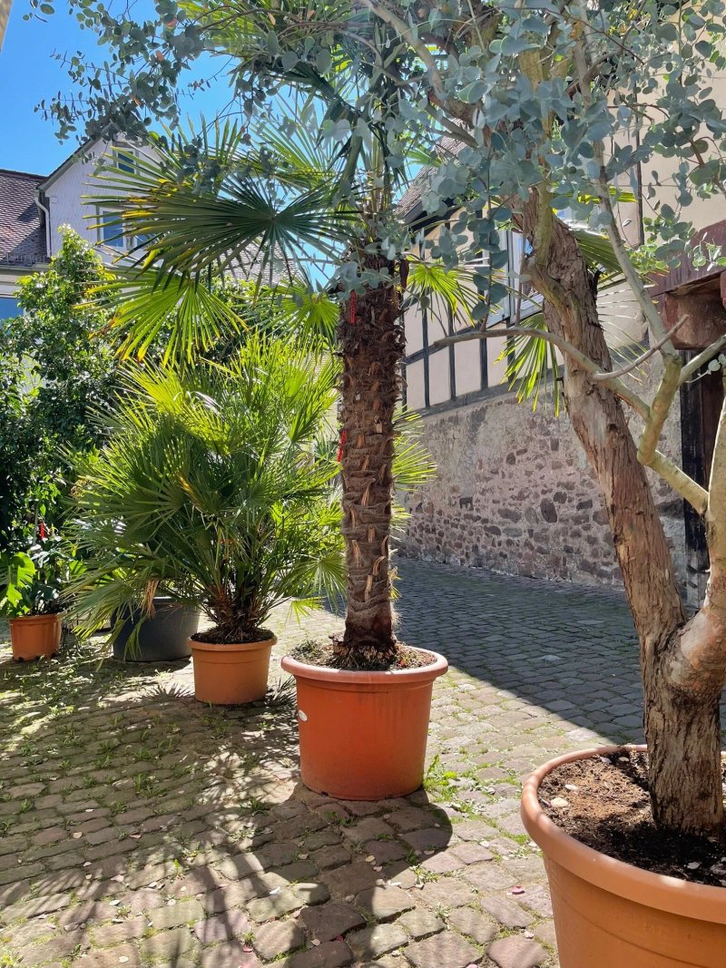 Hotel Restaurant Drei Hasen