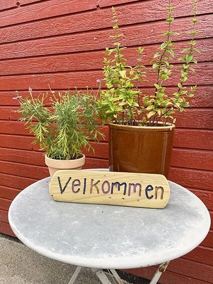 Danhostel Store Heddinge