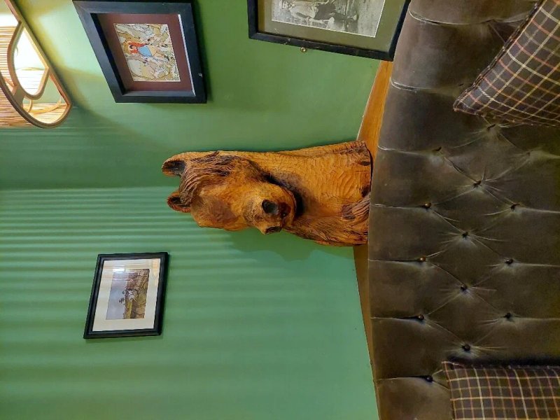 Dog and Partridge