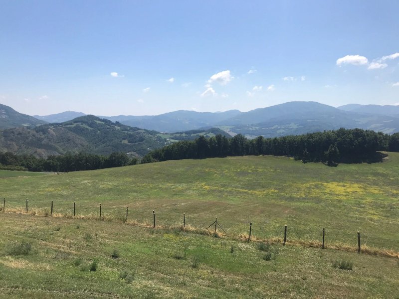 Agriturismo Tenuta Ca Di Bertucci
