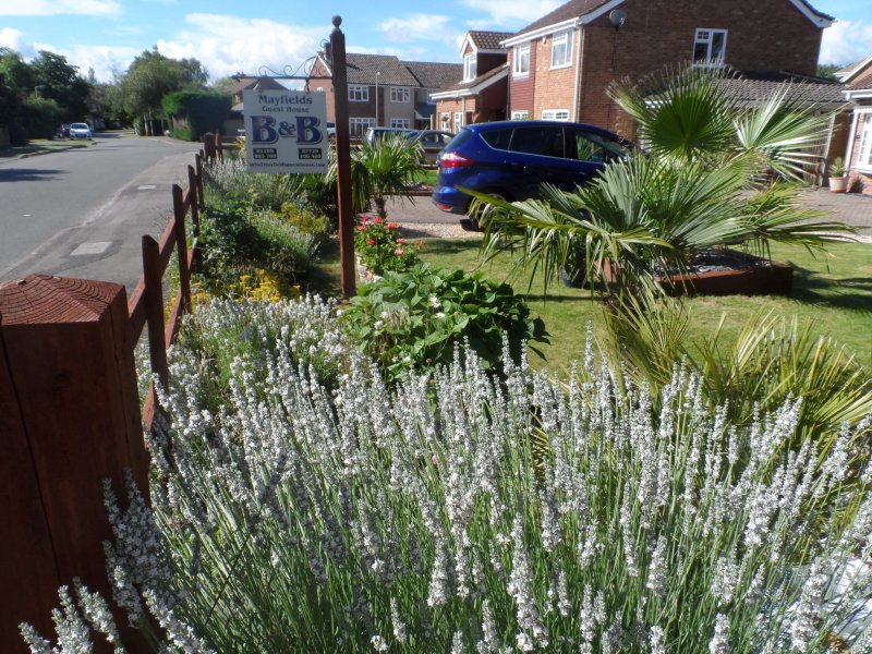 May Fields Guest House