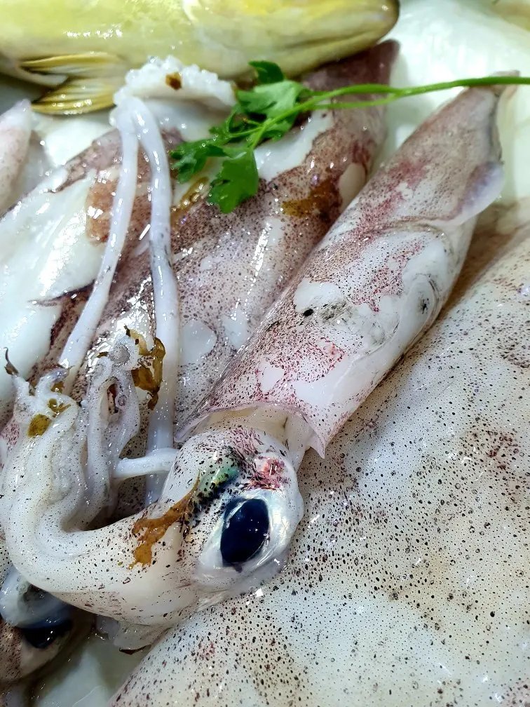 Pescheria Mare Vivo