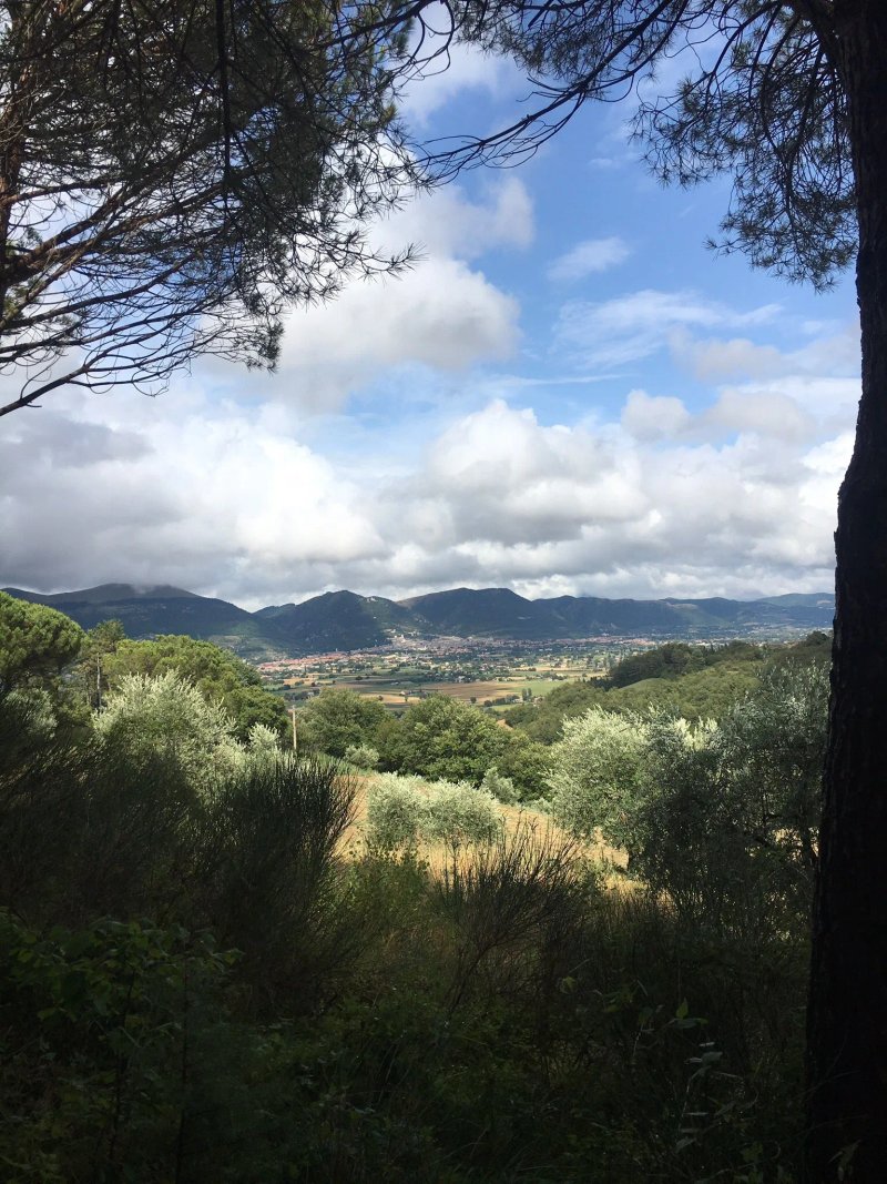 Agriturismo La Panoramica Gubbio - Maison de Charme