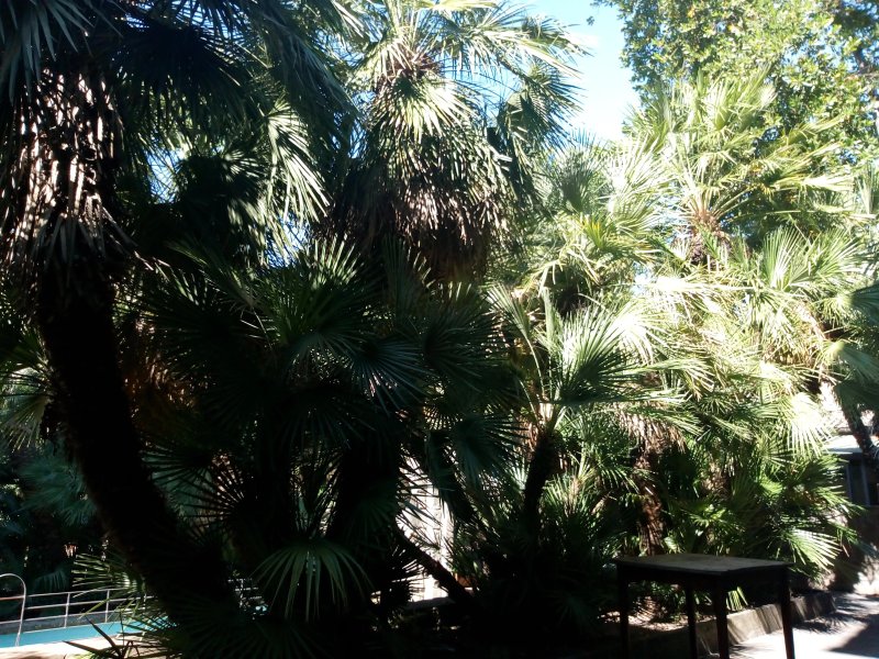 Resort Paradosso