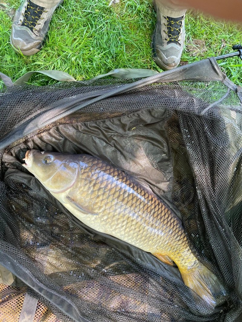 Trebellan Park Camping and Fishing