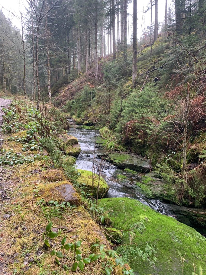 Landgasthof Hotel Hirsch