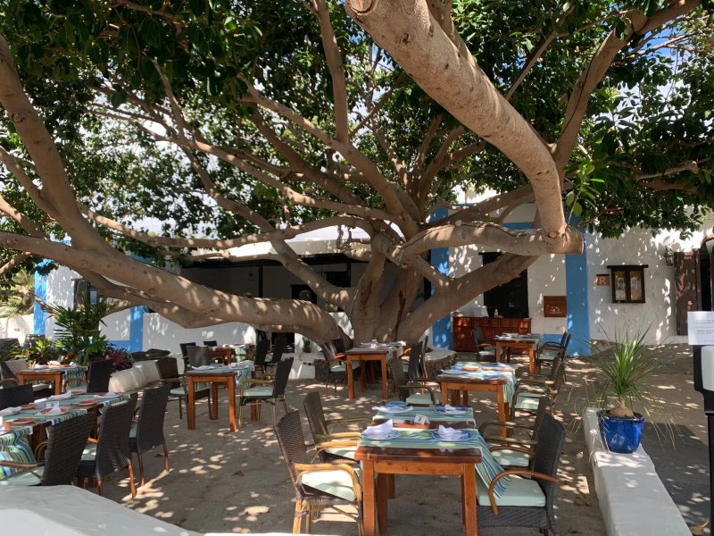 La Bodega de Santiago