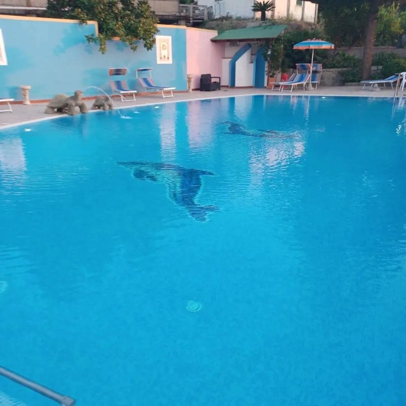 Hotel Carlo Magno