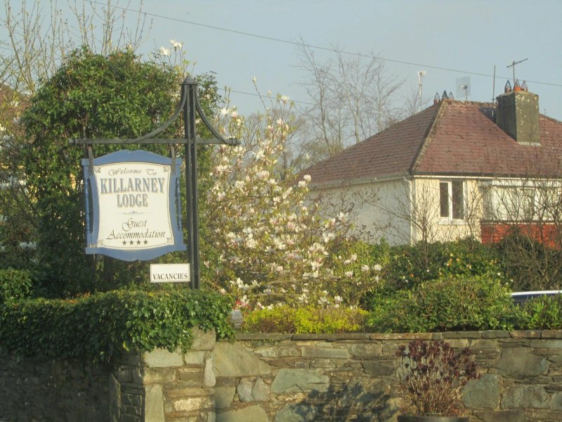 Killarney Lodge Guesthouse