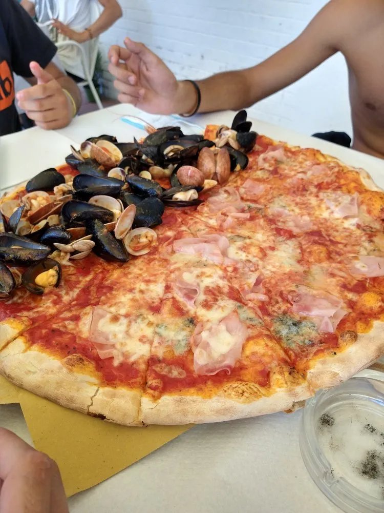 Leone di Mare