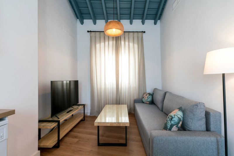 Apartamentos Leoncillos