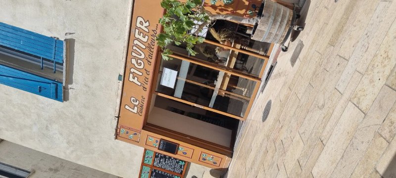 Le Figuier
