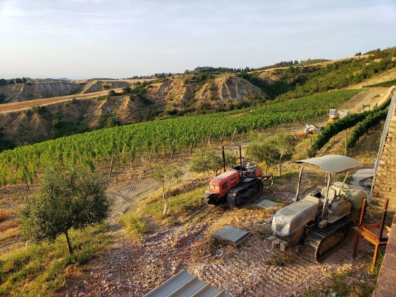 Podere Marcampo