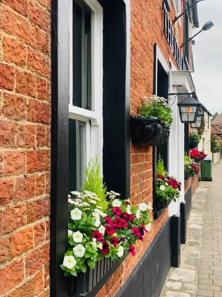 The Star Inn