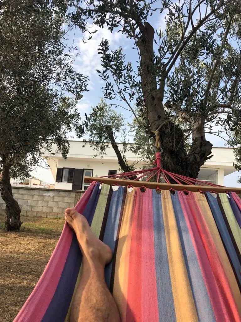 Piccolo Ulivo B&B Salento