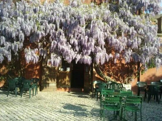 Il Caffe dei Guitti Caffetteria Enoteca