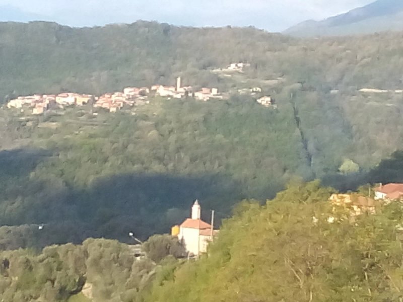 Al Sole
