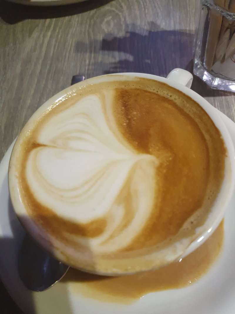 The Bald Barista