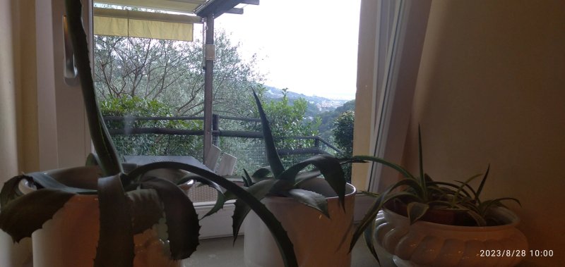 Villa Paggi country house