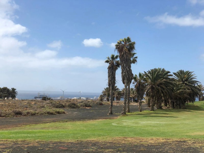 Costa Teguise Golf