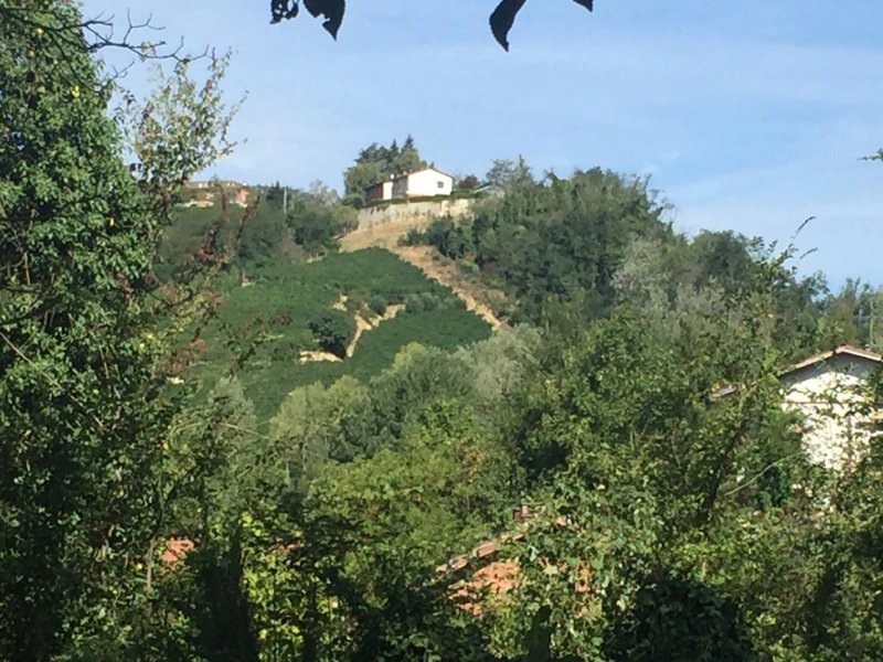 La Locanda della Sesta Felicita