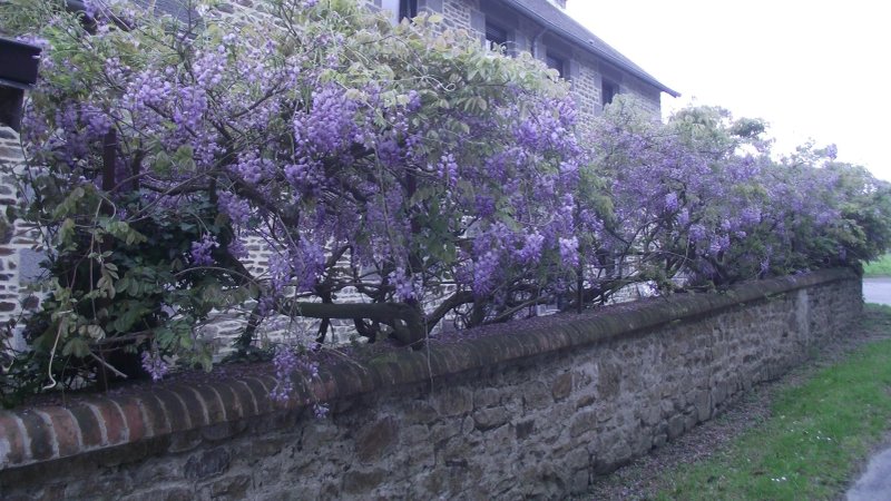 Domaine de l'Archange