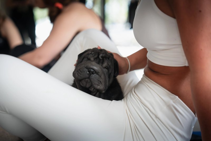 Puppy Yoga Lille