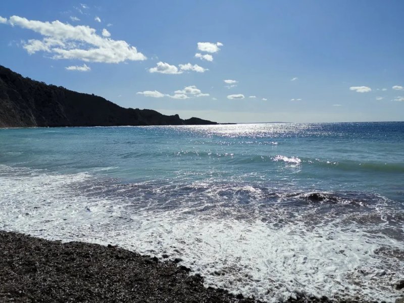 Tropicana Ibiza