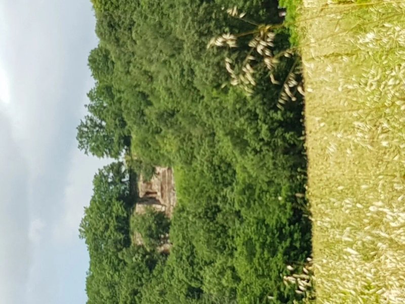 Parco Archeologico Citta del Tufo
