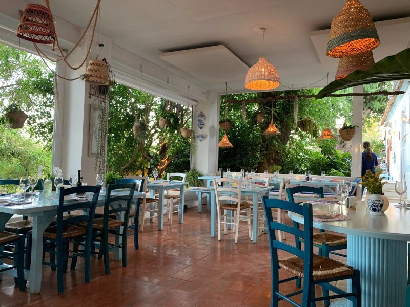 La Paloma