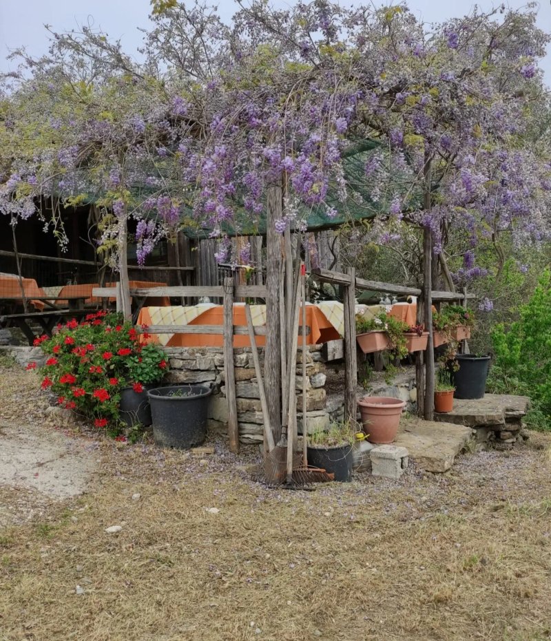 La Baita - Trattoria con Orti Vivibili
