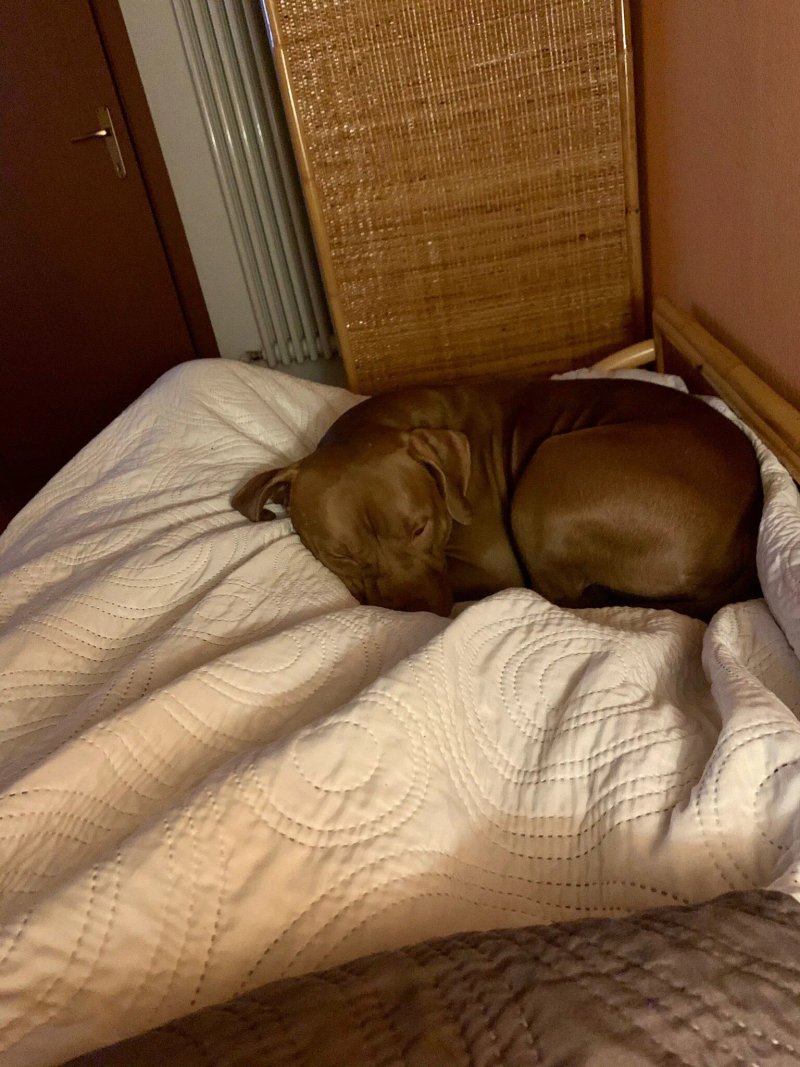 B&B Amici Del Colle