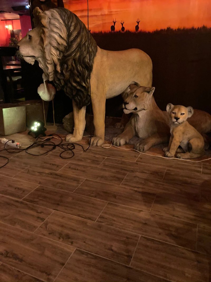 Africa Bar