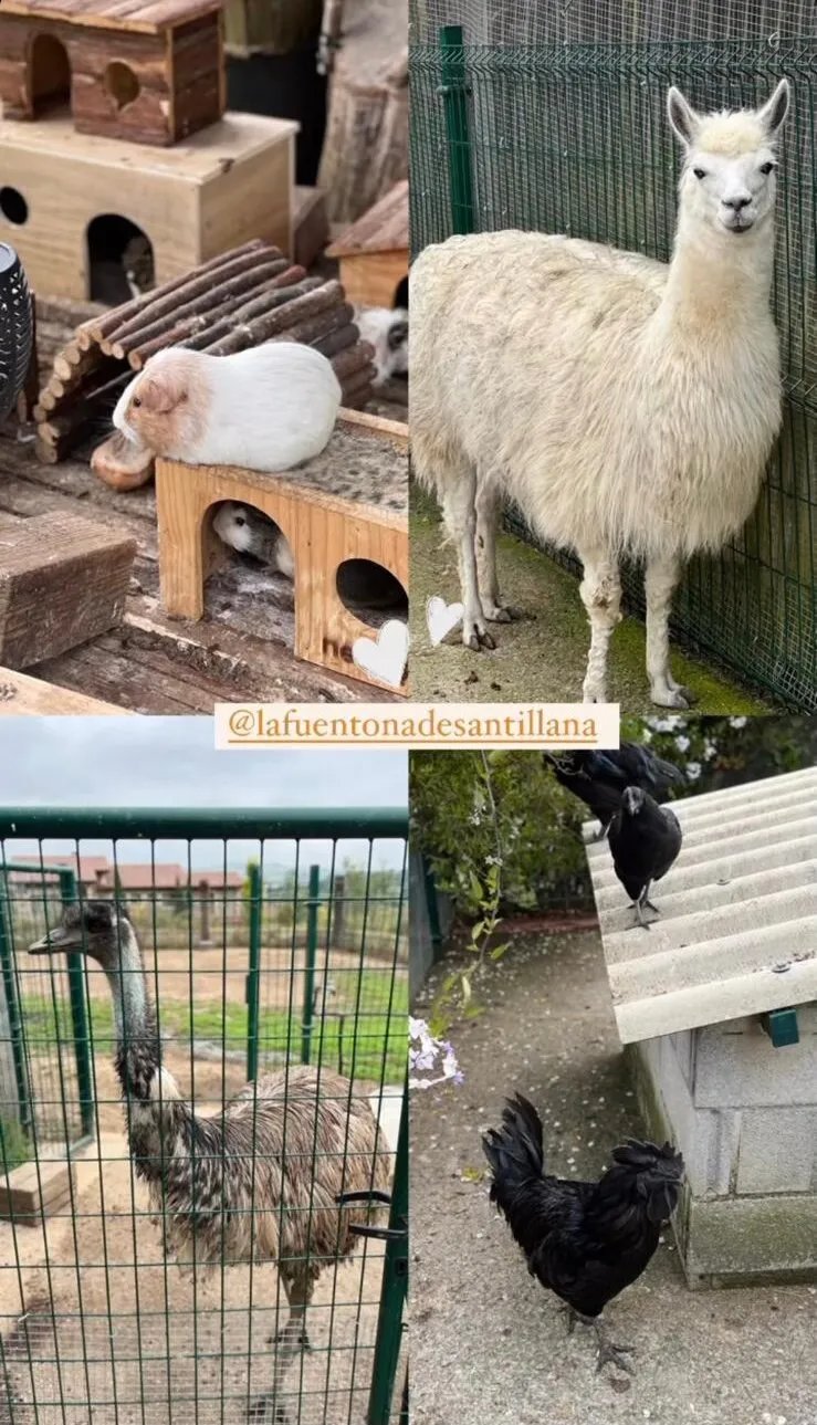 La Fuentona de Santillana