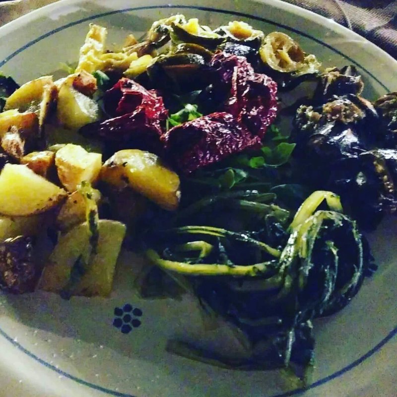 Panvigna