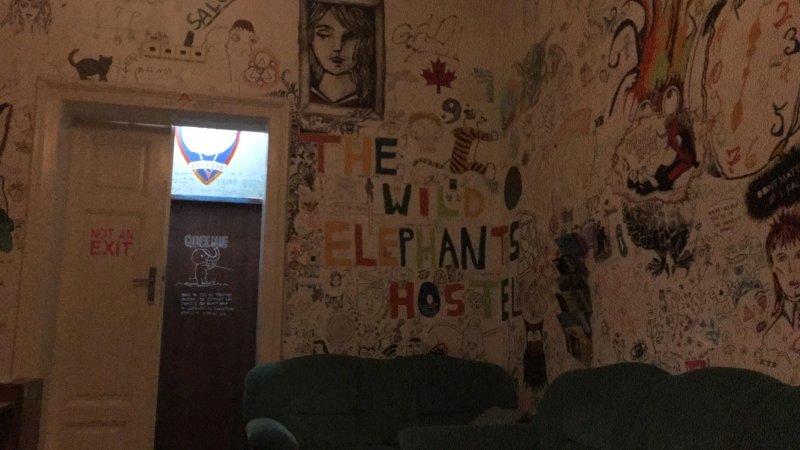 Wild Elephants Hostel