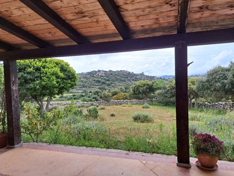 Agriturismo La Cerra