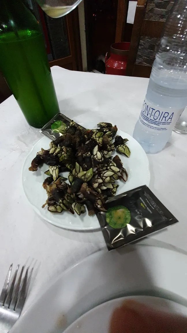 Bar Sidreria EL Gayo