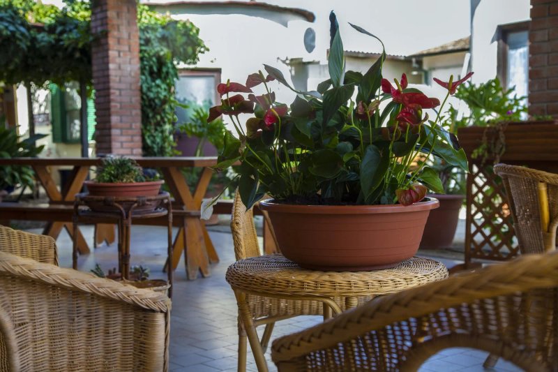 Agriturismo Santa Lucia