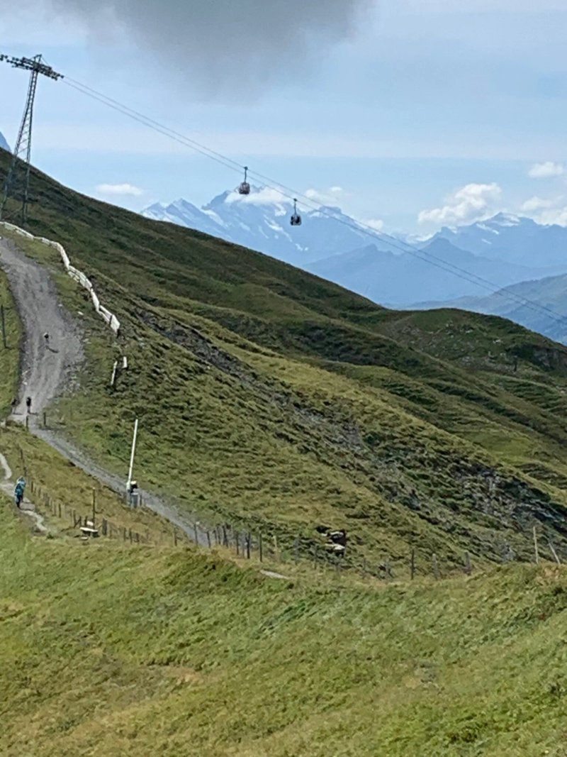Panoramarestaurant Alpen Tower