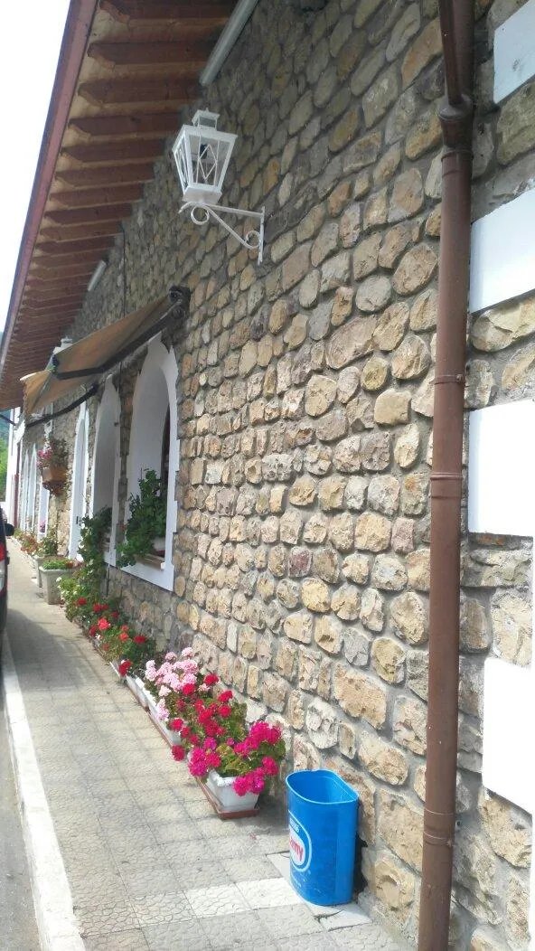 Meson Borlena