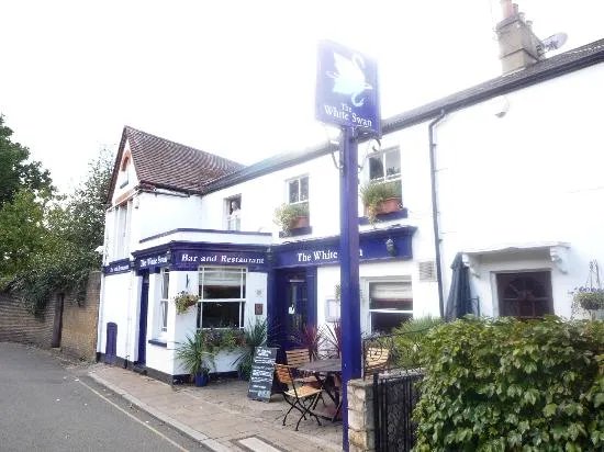 The White Swan