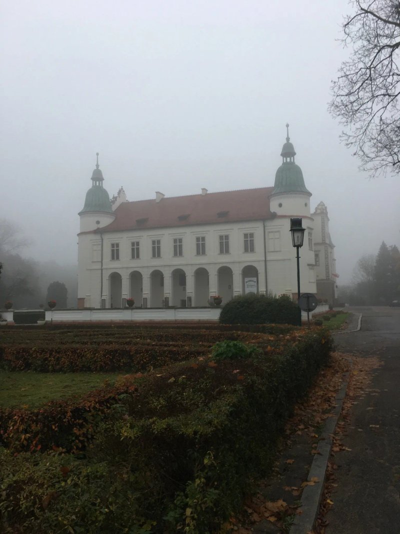 Hotel Zamkowa