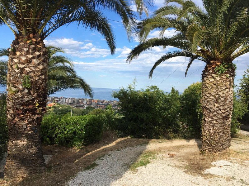 La Panoramica