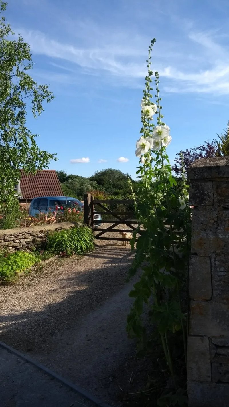 Talbot House B&B