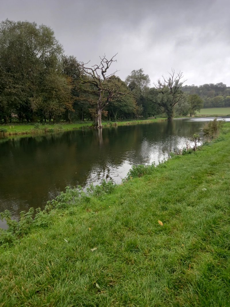 Meon Springs