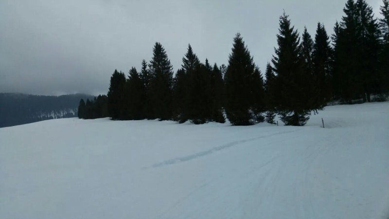 Rifugio Barricata