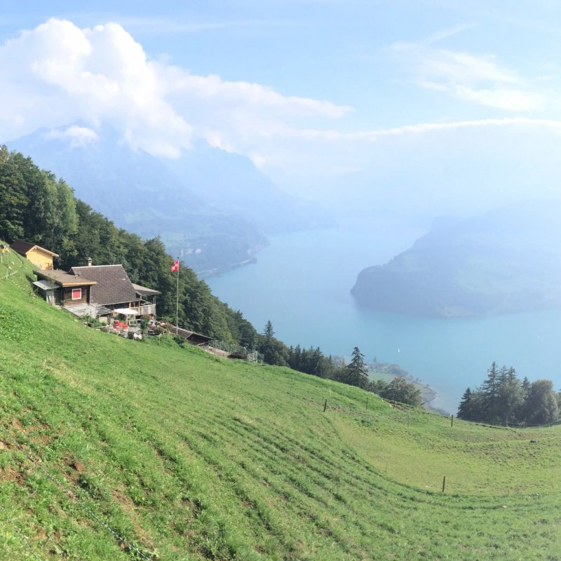 Bergrestaurant Timpelweid
